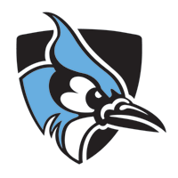 Blue Jay